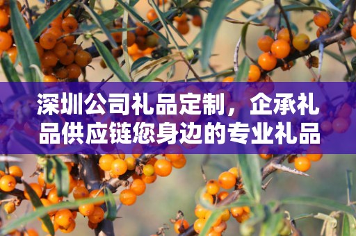 深圳公司礼品定制，企承礼品供应链您身边的专业礼品定制公司