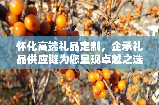 怀化高端礼品定制，企承礼品供应链为您呈现卓越之选